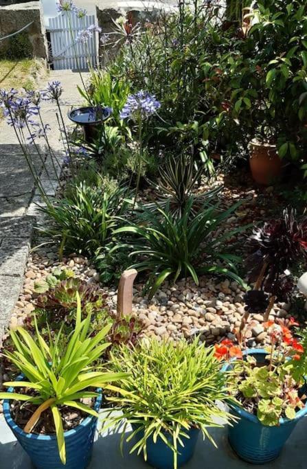 Corvus - Beautiful Cottage Half A Mile From Mousehole Penzance Luaran gambar